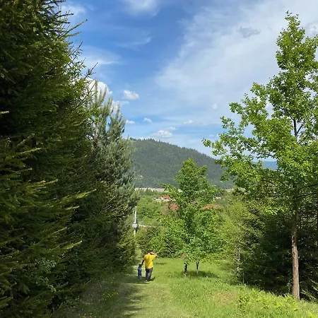 Vila Ecotur Gasthuis Ceahlău