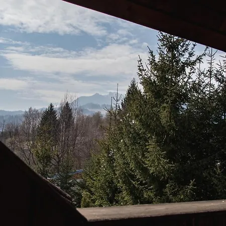 Vila Ecotur 4* Ceahlău